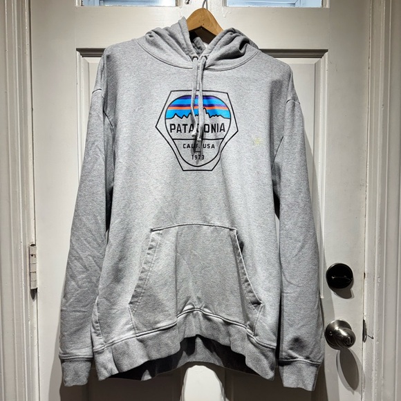 Patagonia Other - PATAGONIA Gray Hoodie with Multicolor Mountain Badge